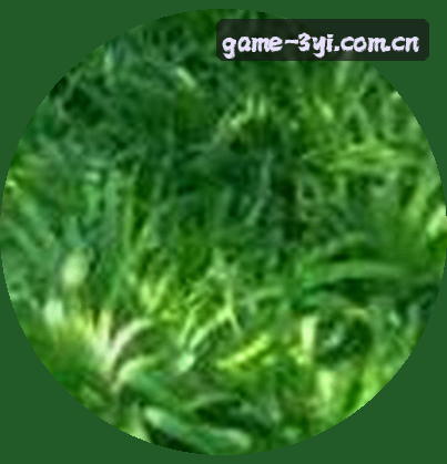 李浩